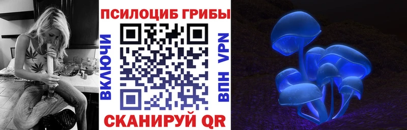 дарк нет состав  Костерёво  Псилоцибиновые грибы ЛСД 